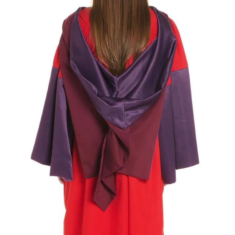 Bristol University PhD Gown - Image 3