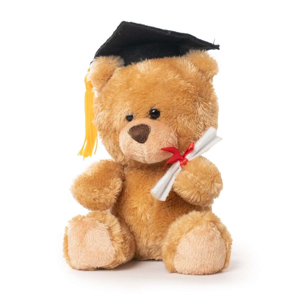 Graduation Teddy Bear