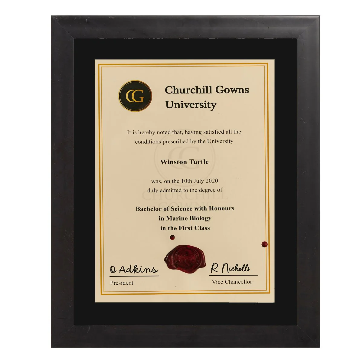 Single Modern Certificate Frame - Image 2