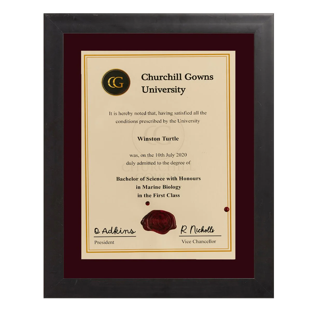 Single Modern Certificate Frame - Image 4