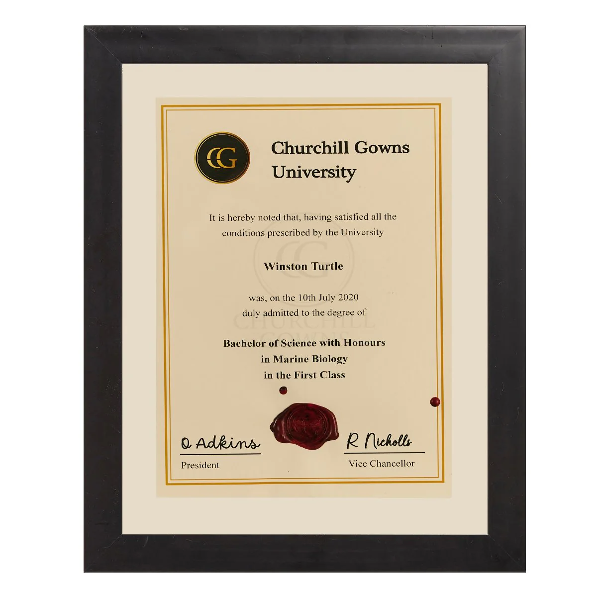 Single Modern Certificate Frame - Image 5
