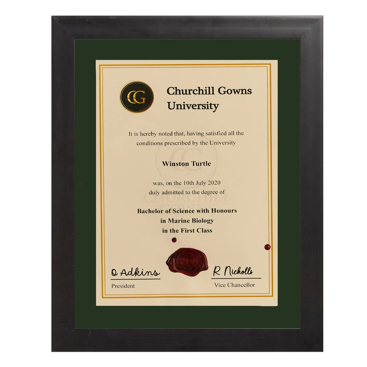 Single Modern Certificate Frame - Image 6