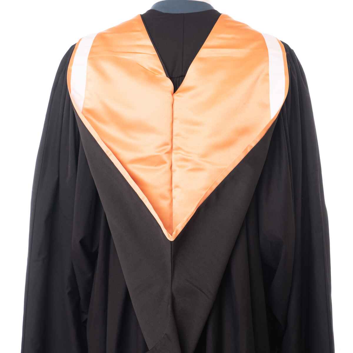 SMB College - DeMontfort Degrees Hood