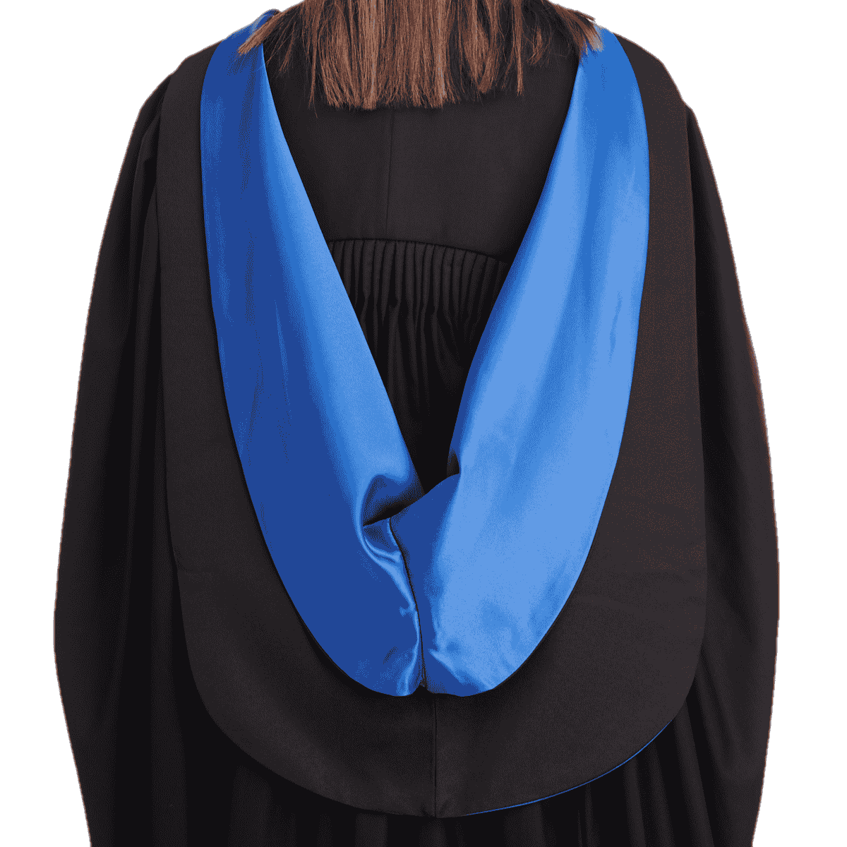 University College London Integrated Masters Hood